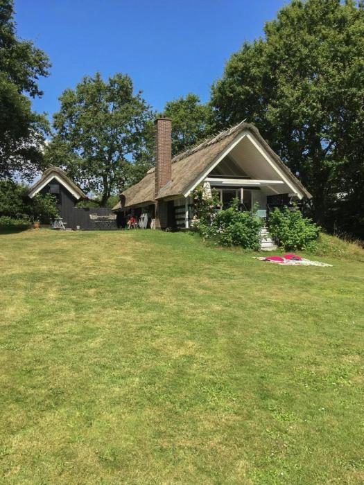 Retro Idyll And Bird Sounds In Quiet Oasis