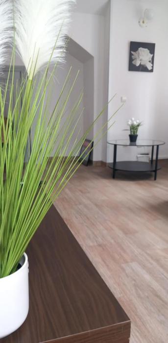 Klaipėdos centras 24