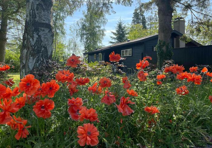 Charming Cottage Close To Smidstrup Beach