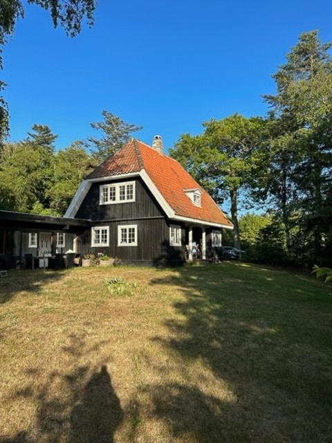 Atmosphere In Forest-Clad Setting At Rågeleje