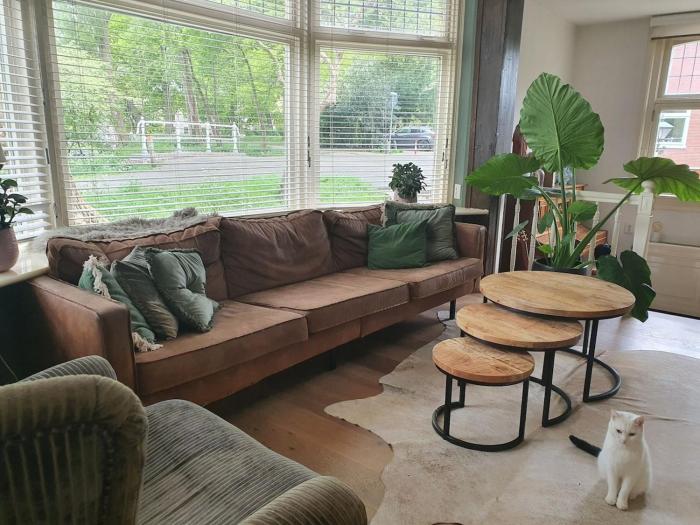 Fantastic house with a large roof terrace downtown