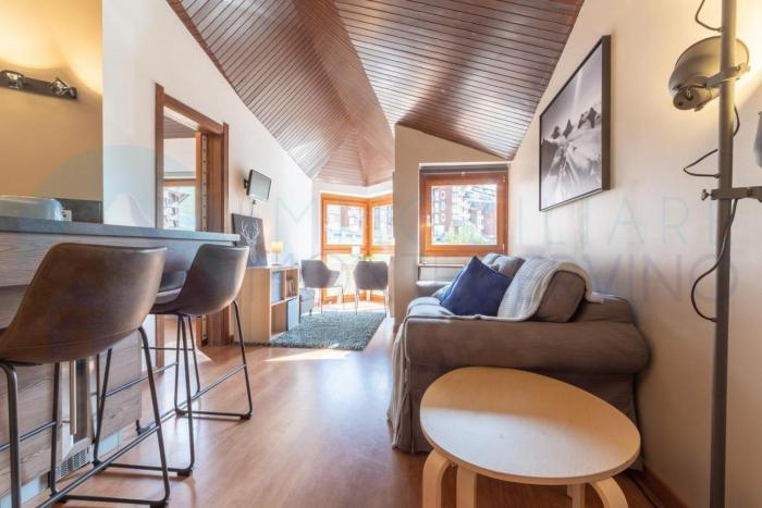 Trilocale vicino alle funivie con wifi - AS12