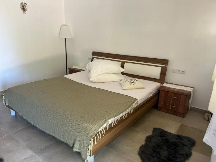 Pensiunea Fratii Pasca