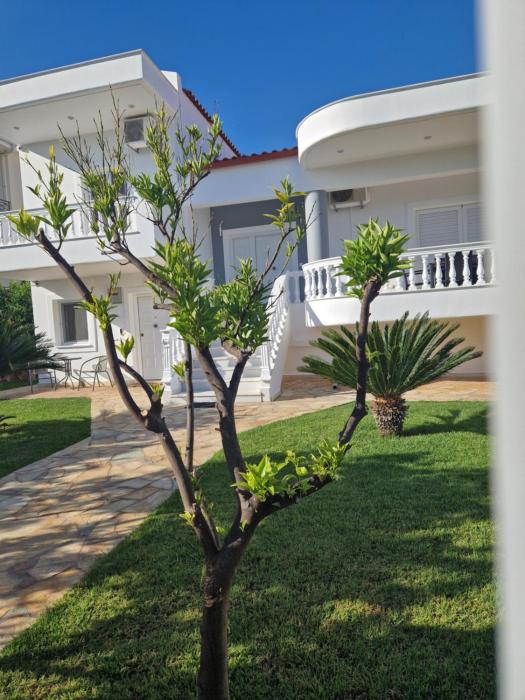 Villa Orangerie -Luxury Meets Serenity