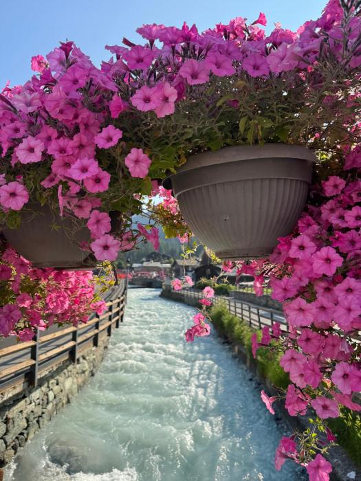 Grande Maison Du Coeur Champoluc Spa,Gym e Aree Relax