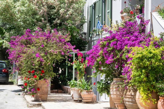 Bookamvillia Apartment