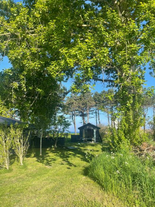 Simplicity In Retro Home On Samsø