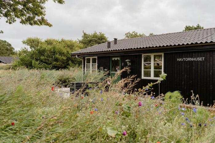 Romantic Cabin Near Water And History