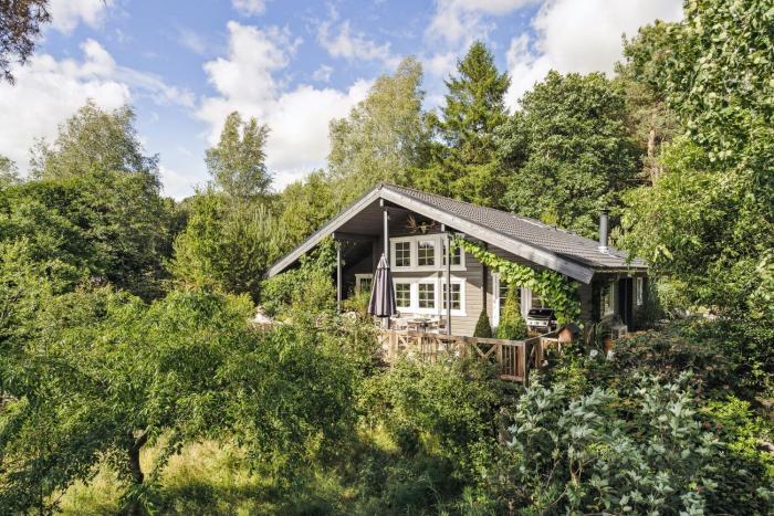 Step Through The Gate And Feel Peace In The Woods