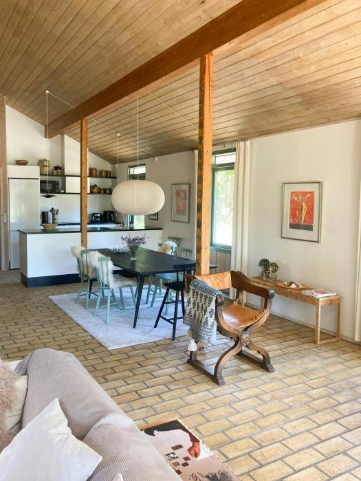 Settle In Dunes And Sand Near Skagen