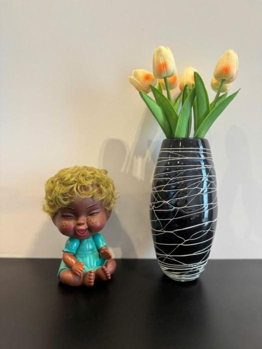 CSJ Thuy Van Cozy Apartment