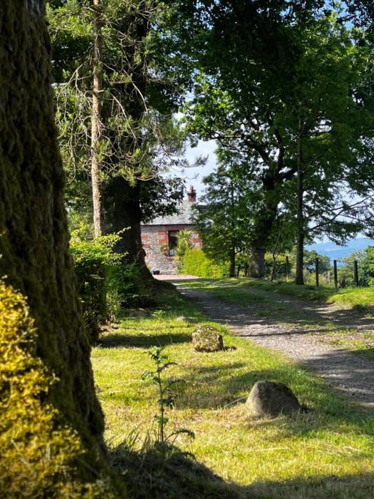 Stoneymollan over Loch Lomond