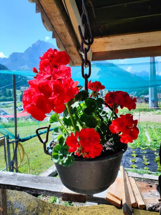 appartamento PANORAMA