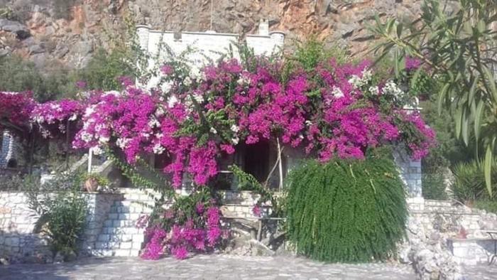 Villa Voukamvilia 3 minutes walk from Beach