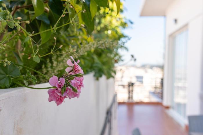 Cross views city, sea