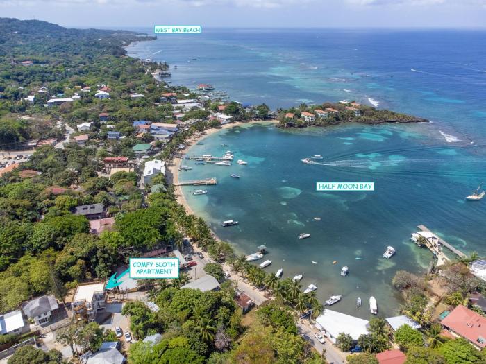 Comfy Sloth guest studio suite condo