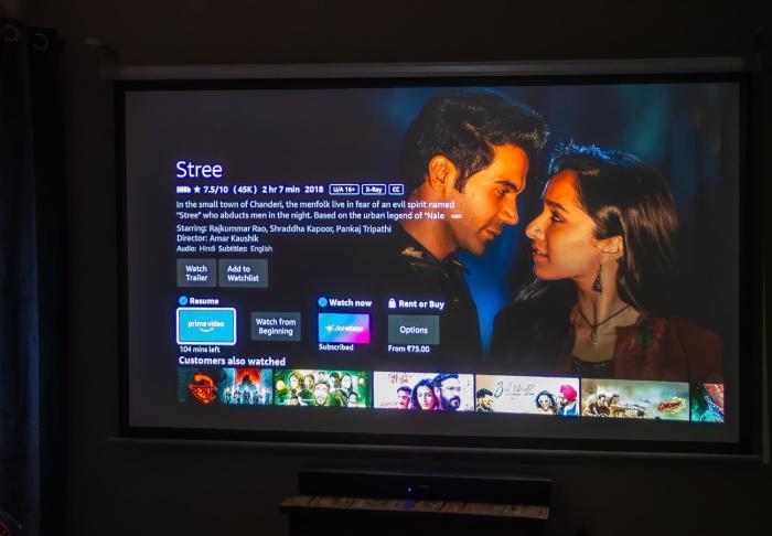 Bollywood Junction 100 inch Cinema Party Couples
