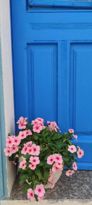 La casa del Paguro Bernardo