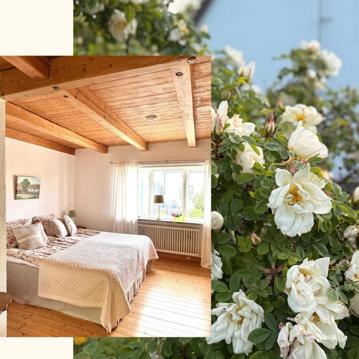 Rävåkra B&B Österlen