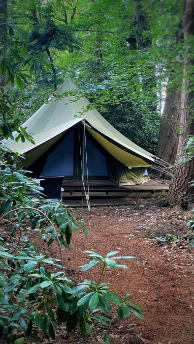SENSI - glampingtenten midden in de bossen