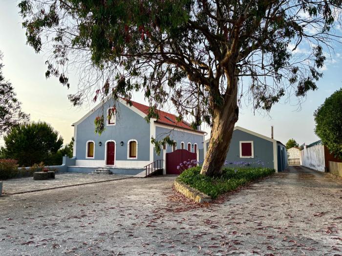 Quinta das Soizas - São Martinho