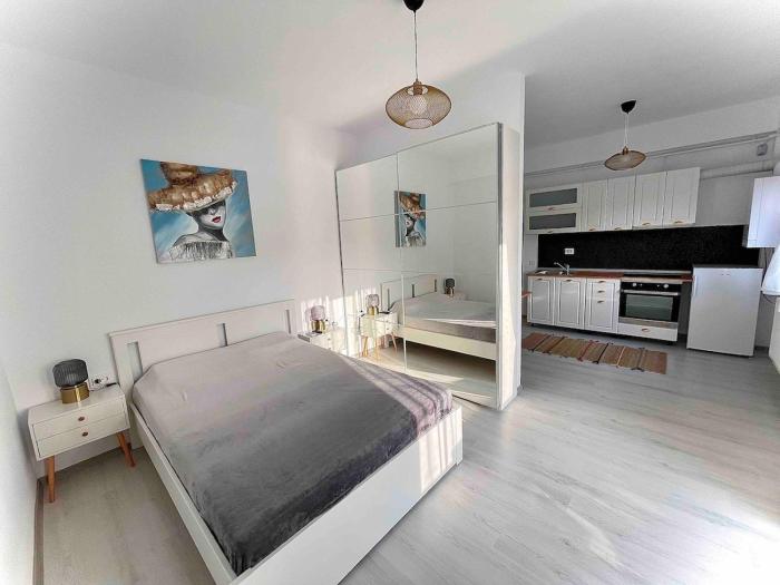 Otopeni Studio C1 3 Airport Therme