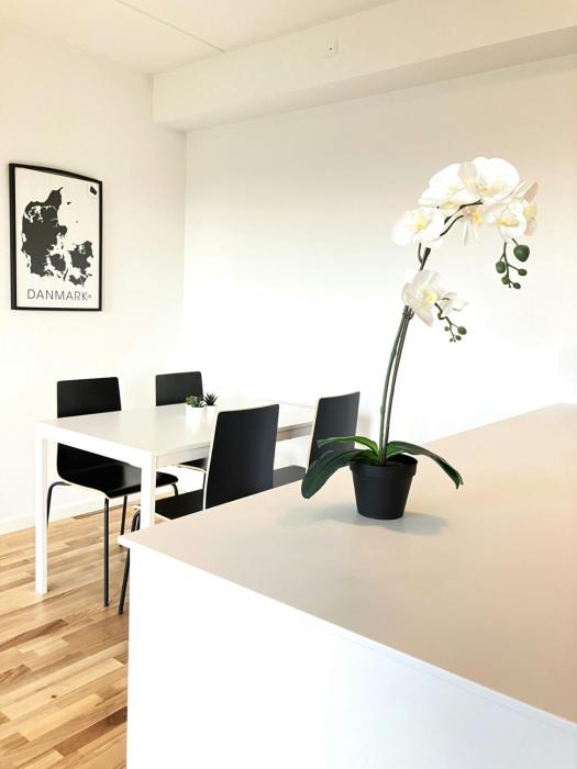 Spacious Apartment for 6