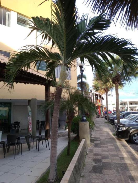 Flat 262 Shopping Mall Amarração