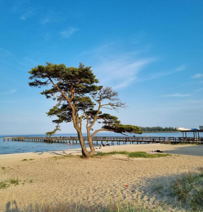 Beachfront apartment in Åhus