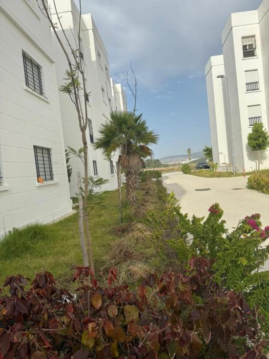 maison propre a cote chu