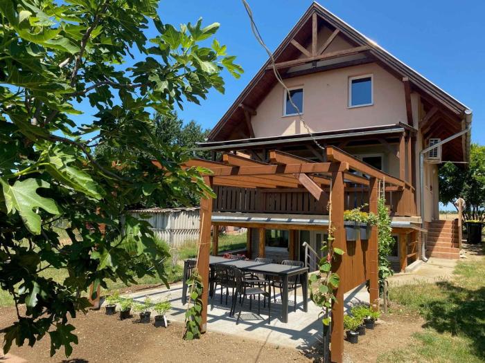 Apartment in Zamardi - Balaton 53839