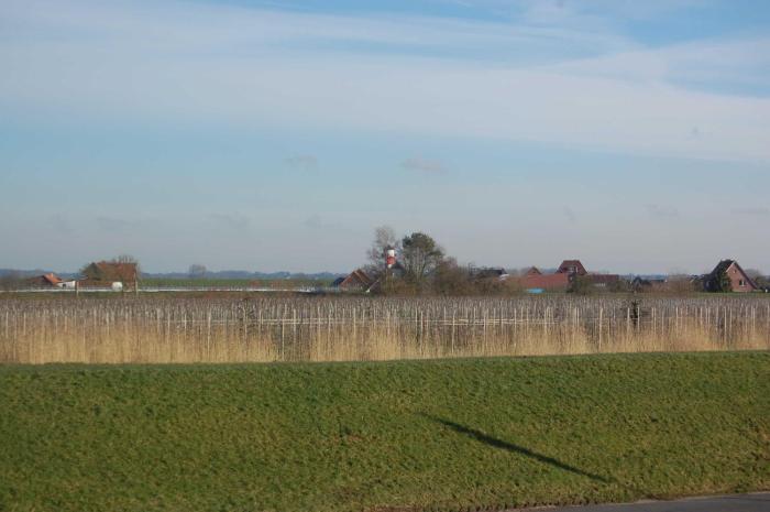 Ferienwohnung Carpe Diem