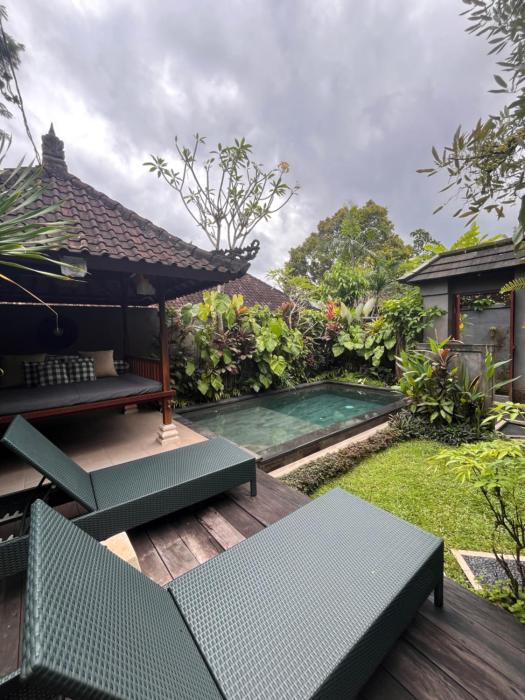 Badra House Bougainvillea