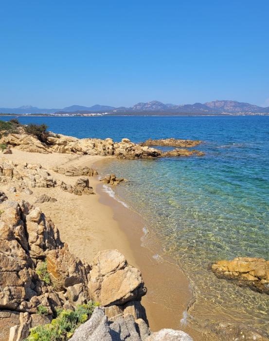 MARINE CALL apartment with a terrace overlooking the sea