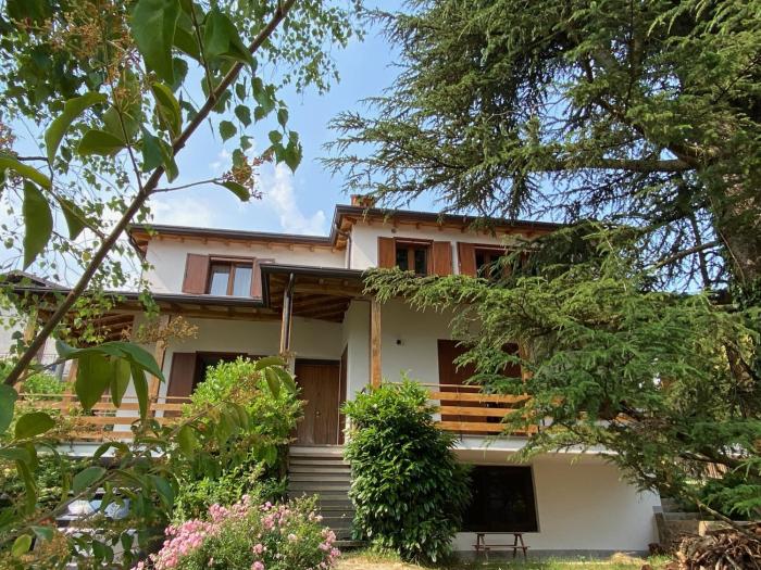 Il giardino dei pini