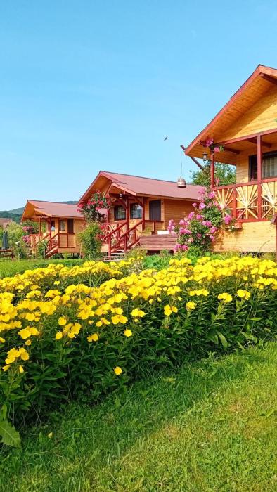 Baltina Parc Transfagarasan