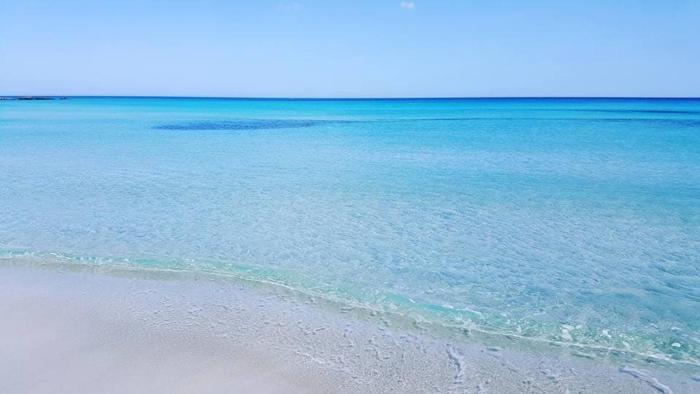 S2 meublé 1er étage kelibia la blanche