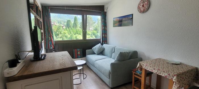 studio plein sud vue Mont Blanc CHAMONIX