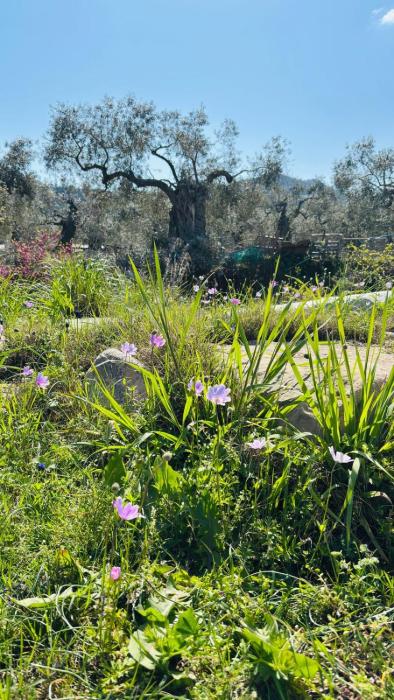 Nurit private apartment