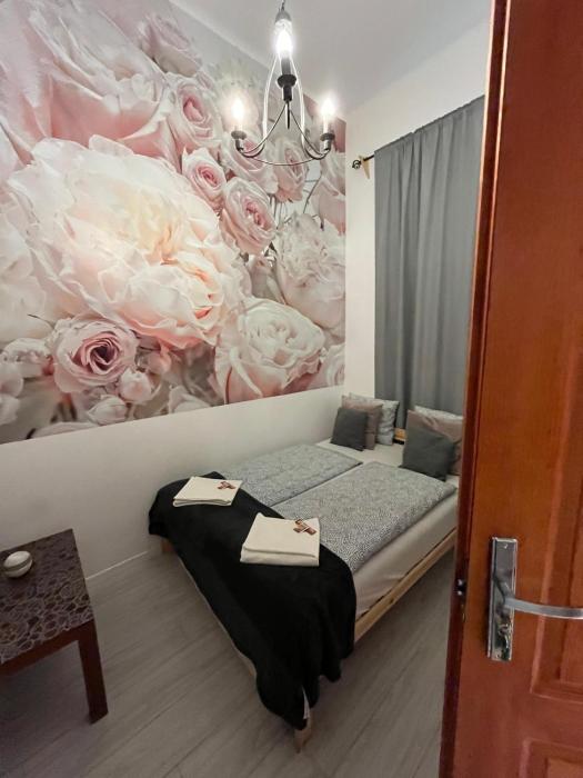 Spring Roses Downtown Boutique Hotel ON THE FAMOUS VÁCI FASHION STREET FREE COFFEE, TEE