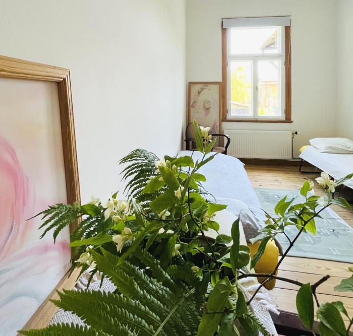 Mūzikas Apartamenti