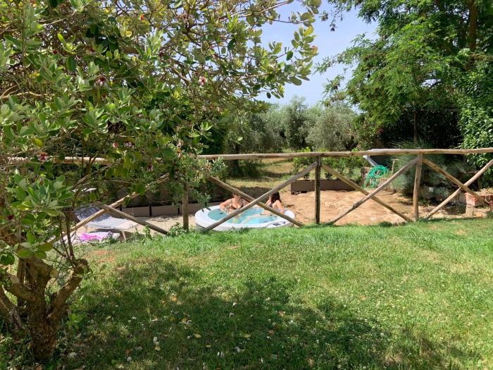 House among the olive trees