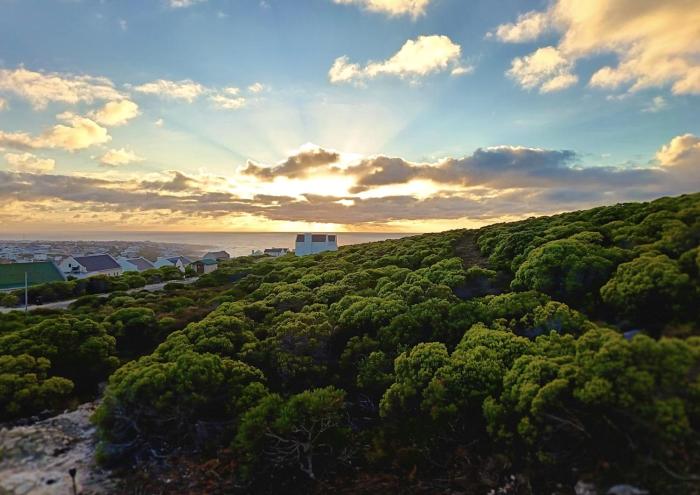 Agulhas Splendour