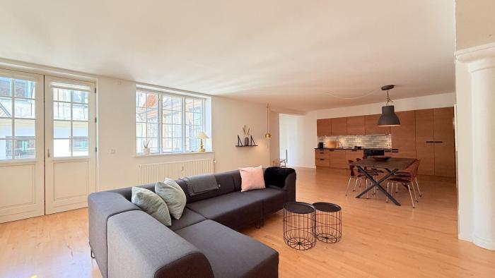 ApartmentInCopenhagen Apartment 1717