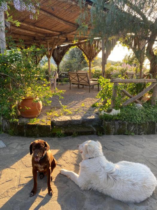 Agriturismo LOlivara