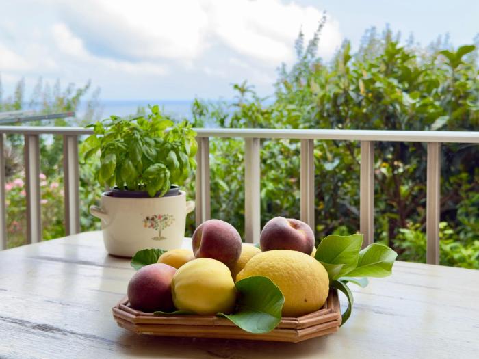 550 mt dal mare - Balcone e Vista Mozzafiato