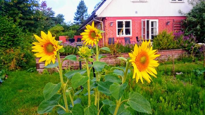 Velkommen til Søhøjlandet!