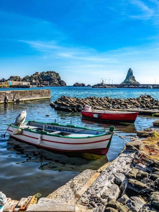 LaLuna Apartments - Sea Panorama - 20mins from CTA airport