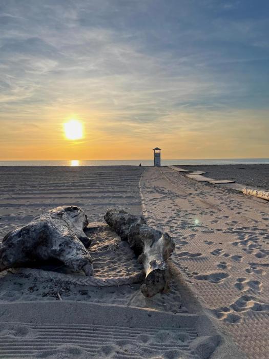 Apartment Sud Sardinia