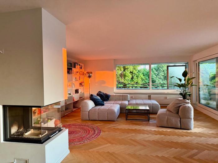 Luxury, quiet flat overlooking Zurich